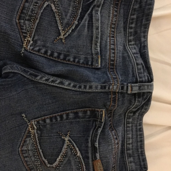 Silvers - Picture 2 of 4